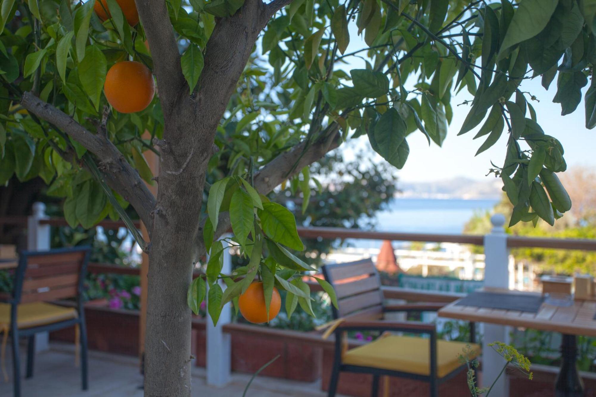 Hotel Ferah Kaş Exteriér fotografie